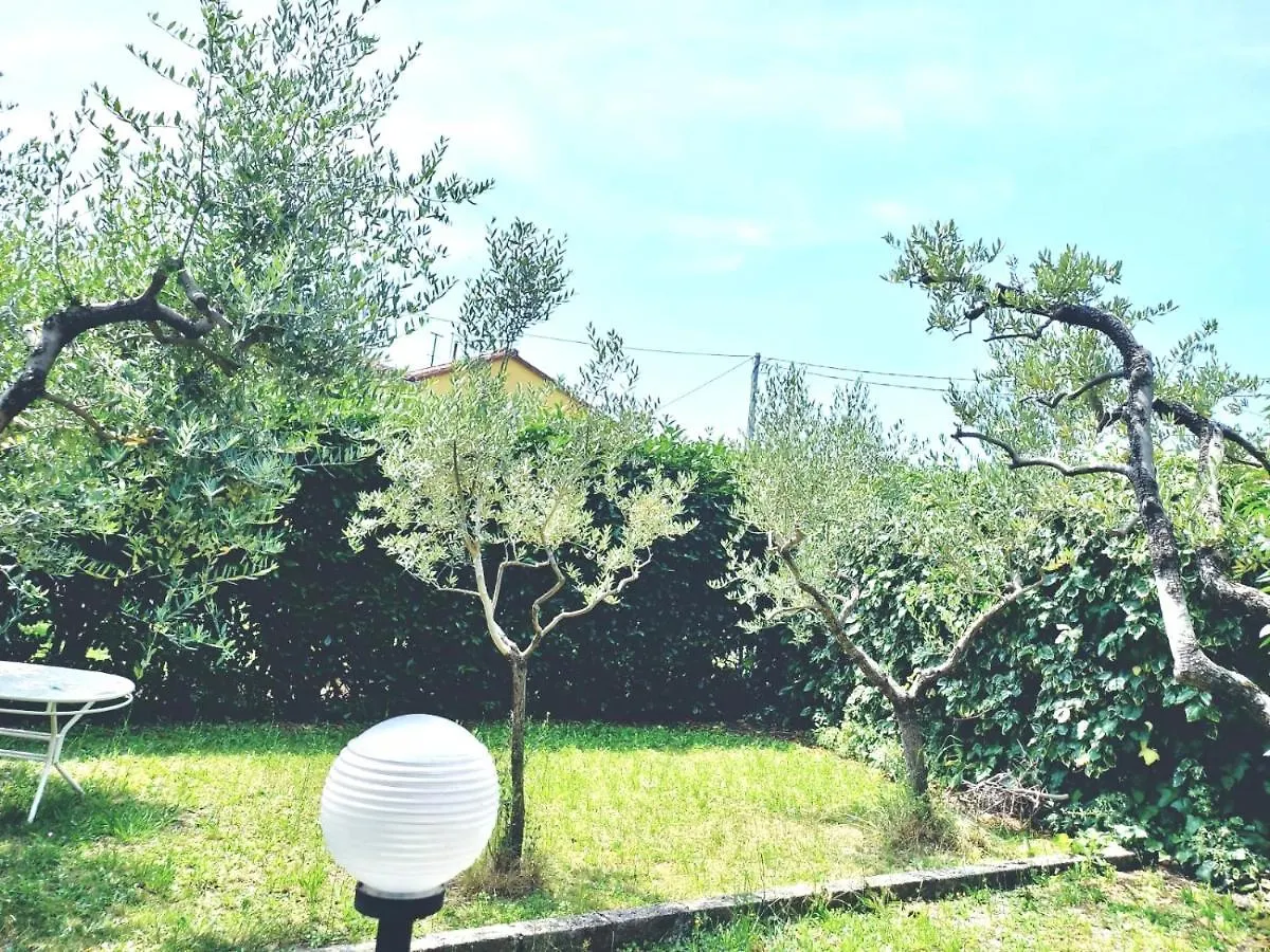 La Casa Dell'Olivo Villa Pescia