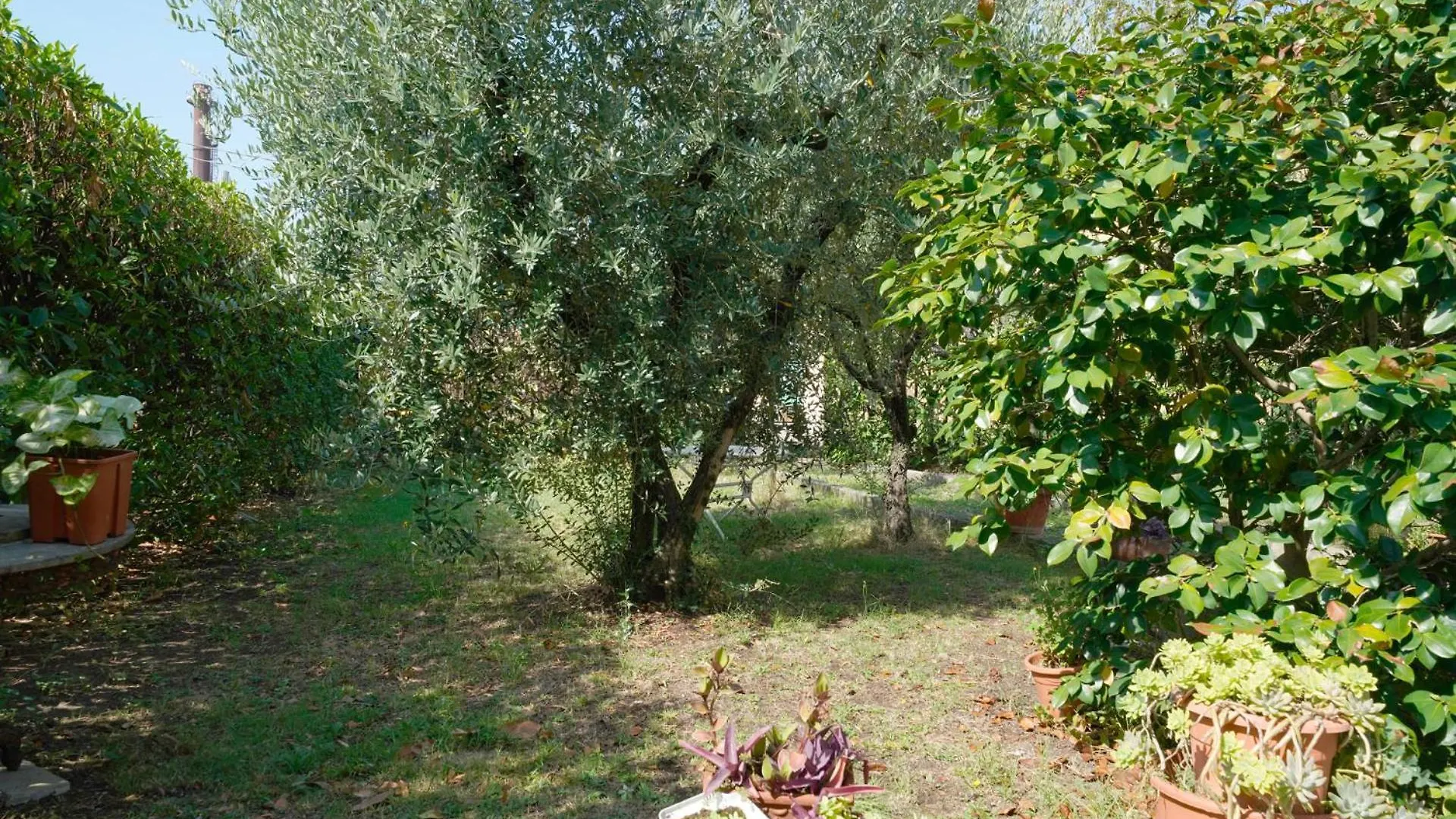 La Casa Dell'Olivo Villa Pescia 0*,  Italy