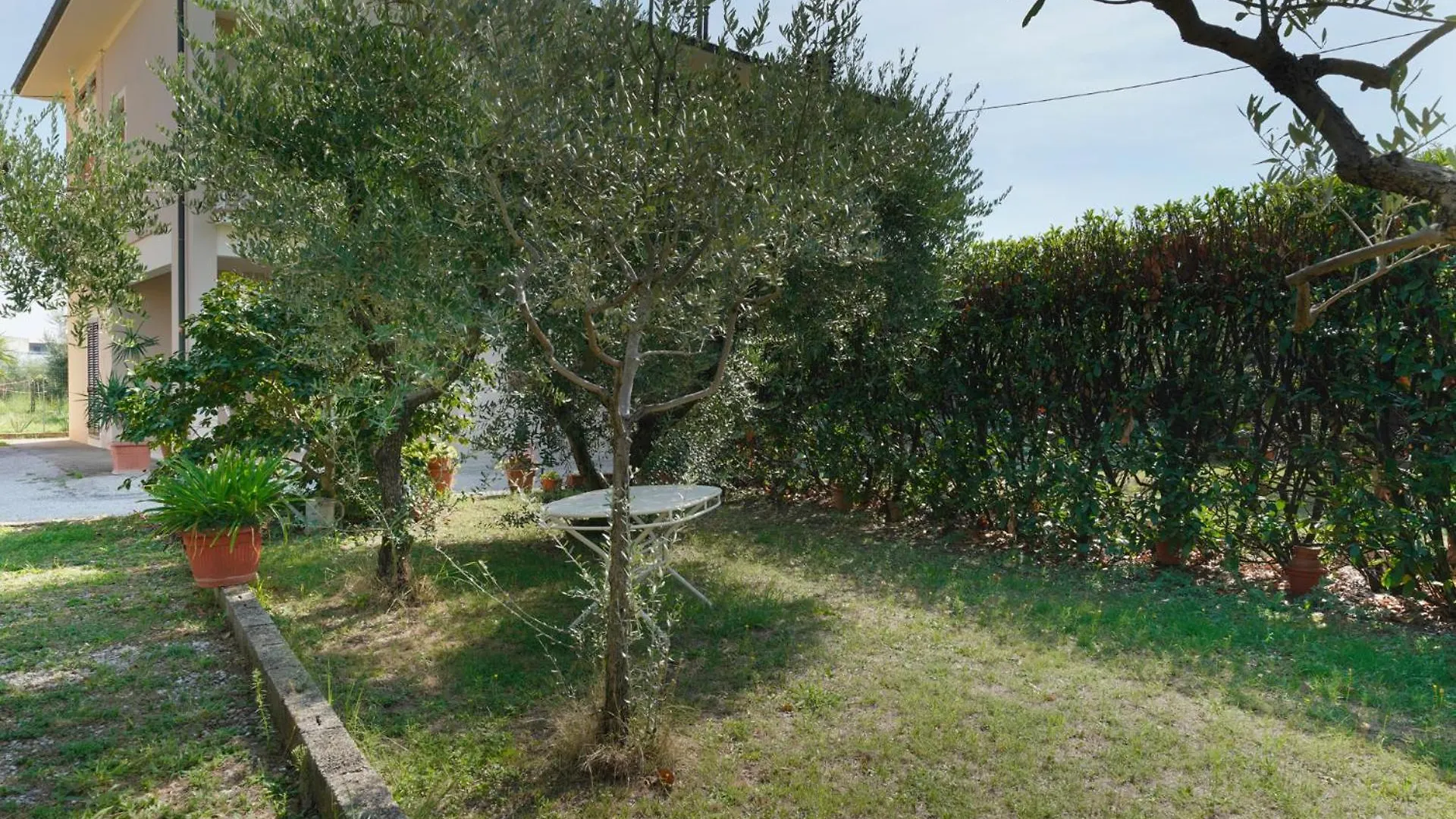La Casa Dell'Olivo Villa Pescia Holiday home